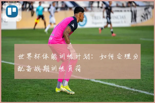 世界杯体能训练计划：如何合理分配备战期训练负荷