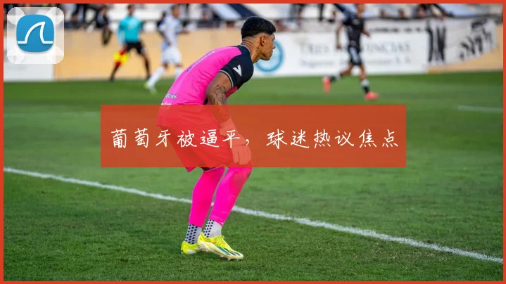 葡萄牙被逼平，球迷热议焦点