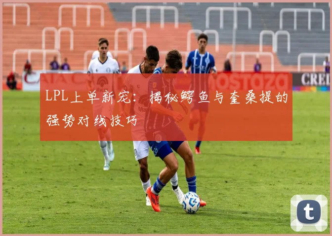 LPL上单新宠：揭秘鳄鱼与奎桑提的强势对线技巧
